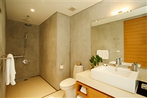 Vanity and shower stall